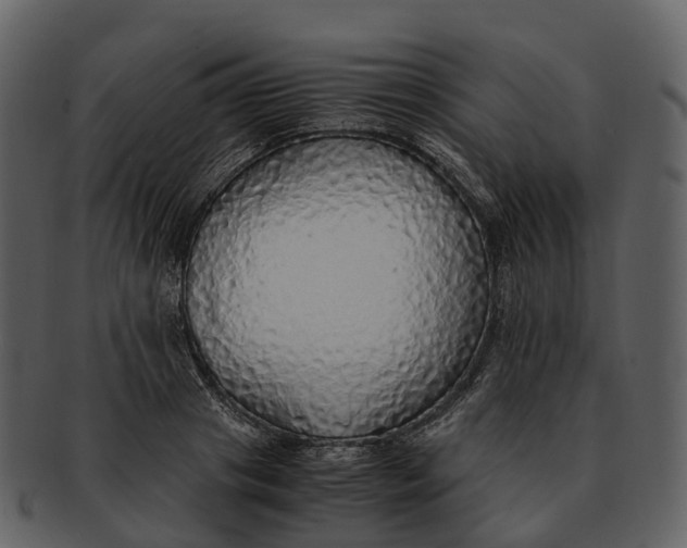 X0000092330841200710051313