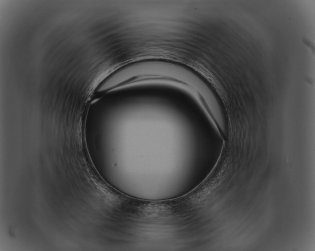 X0000092330842200710051313