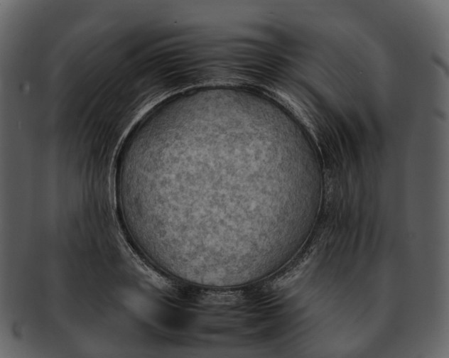 X0000092330843200710051313