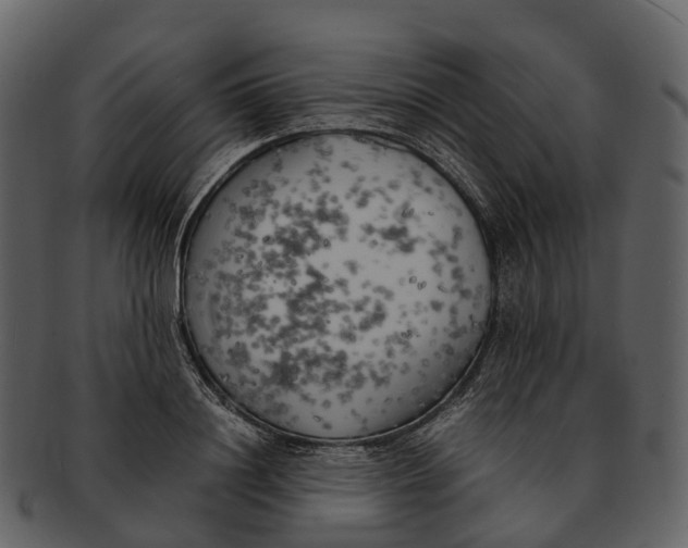 X0000092330844200710051313