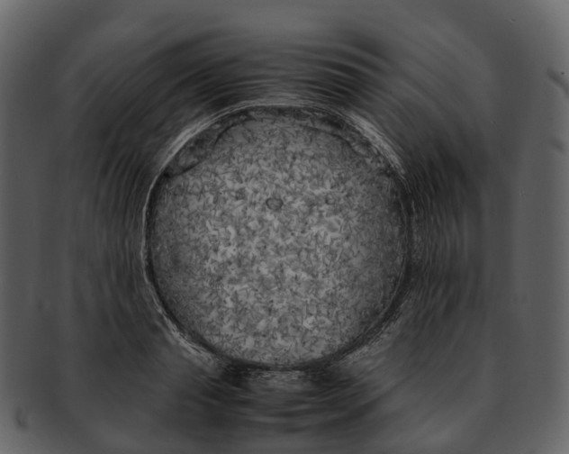 X0000092330845200710051313