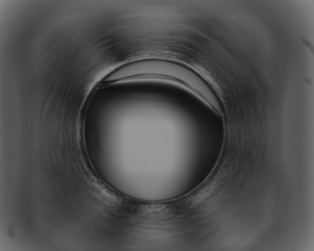 X0000092330846200710051313