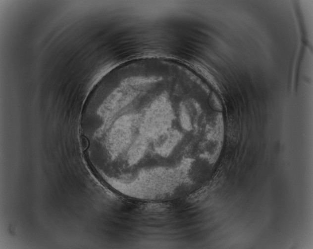 X0000092330847200710051313