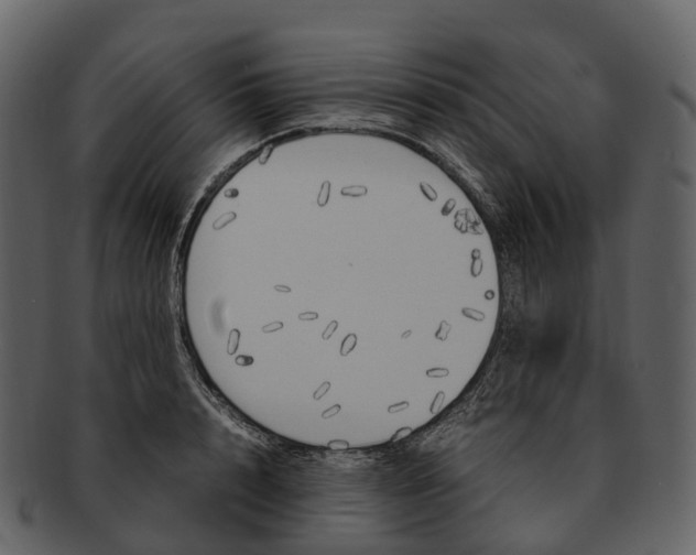 X0000092330848200710051313