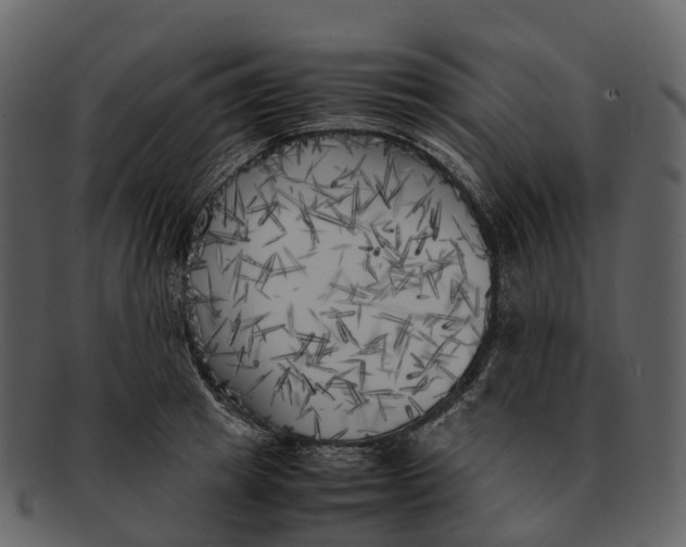 X0000092330849200710051313