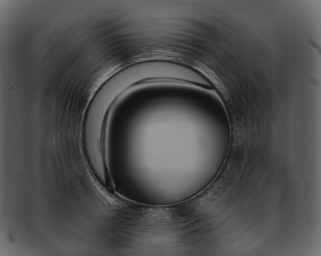 X0000092330850200710051313