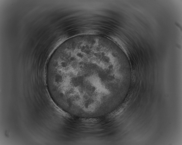 X0000092330851200710051313
