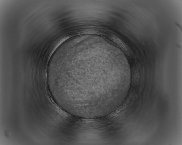 X0000092330852200710051313