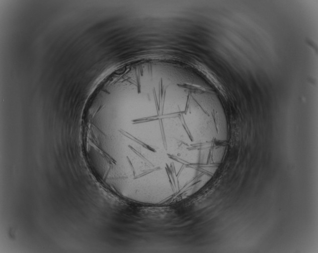 X0000092330853200710051313
