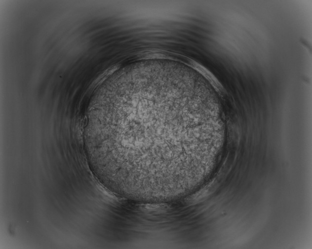 X0000092330857200710051313