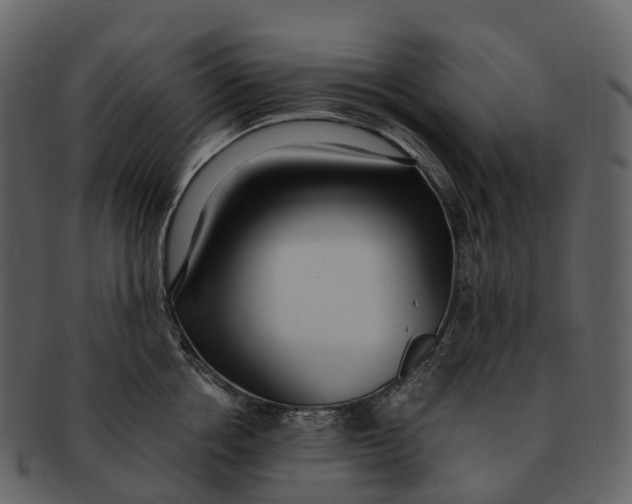 X0000092330858200710051313