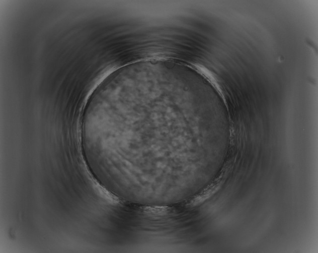 X0000092330859200710051313