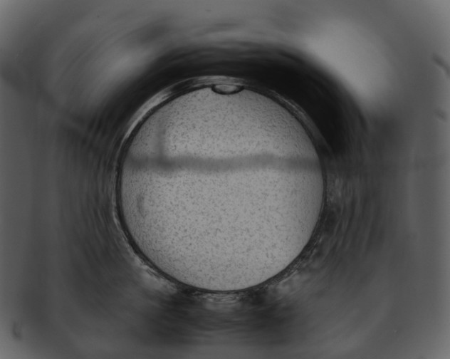 X0000092330861200710051313