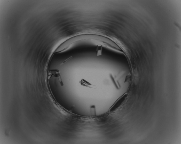 X0000092330862200710051313