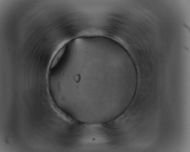 X0000092330864200710051313