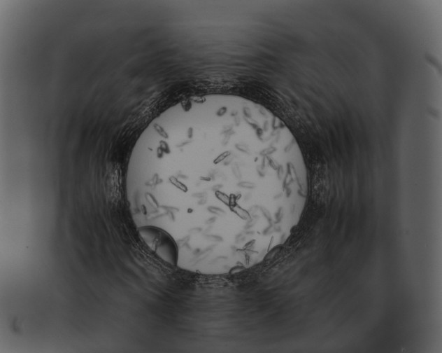 X0000092330866200710051313