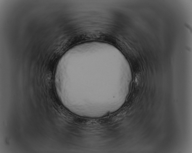 X0000092330867200710051313