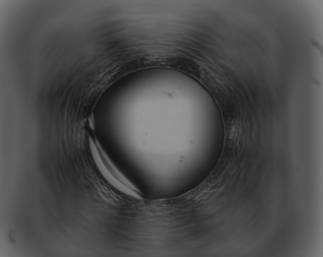 X0000092330868200710051313