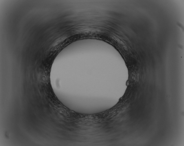 X0000092330869200710051313