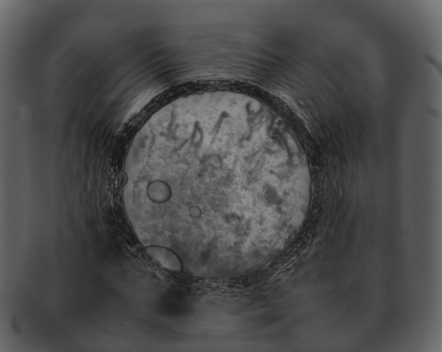 X0000092330871200710051313