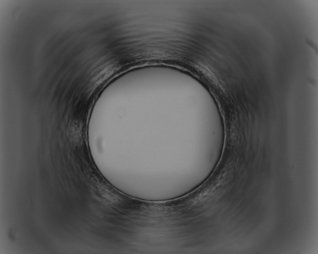 X0000092330873200710051313
