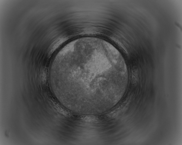 X0000092330874200710051313