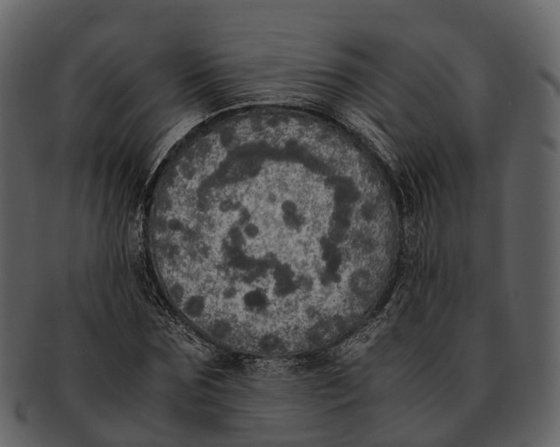 X0000092330875200710051313