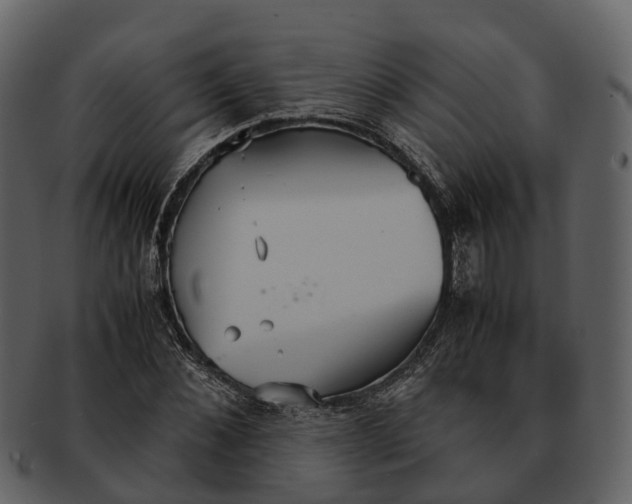 X0000092330876200710051313