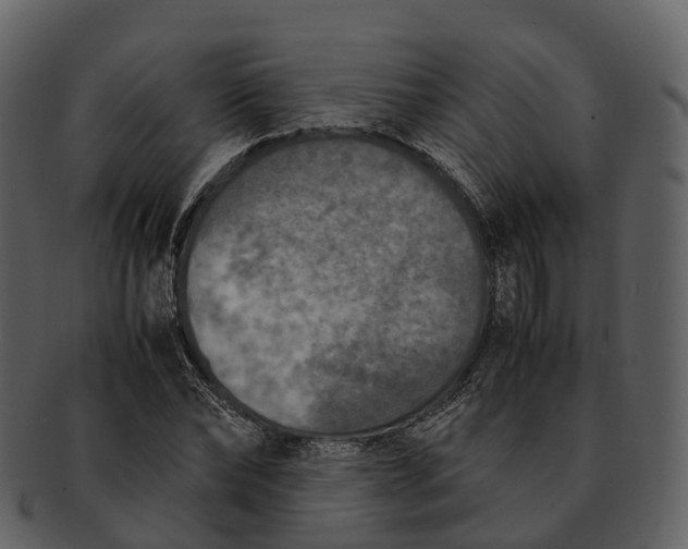 X0000092330878200710051313