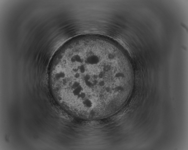 X0000092330879200710051313