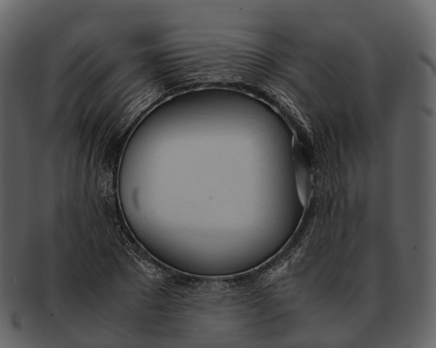 X0000092330881200710051313