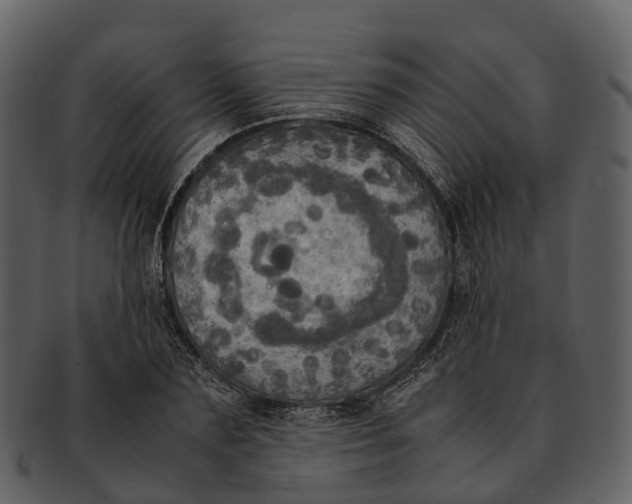 X0000092330883200710051313