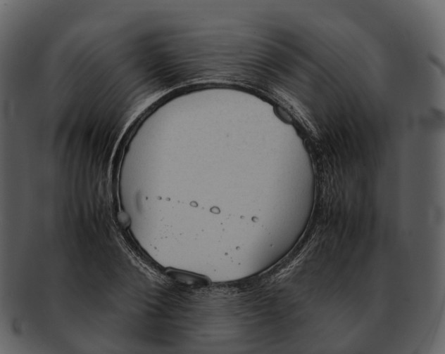 X0000092330884200710051313