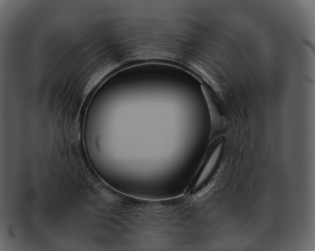 X0000092330885200710051313