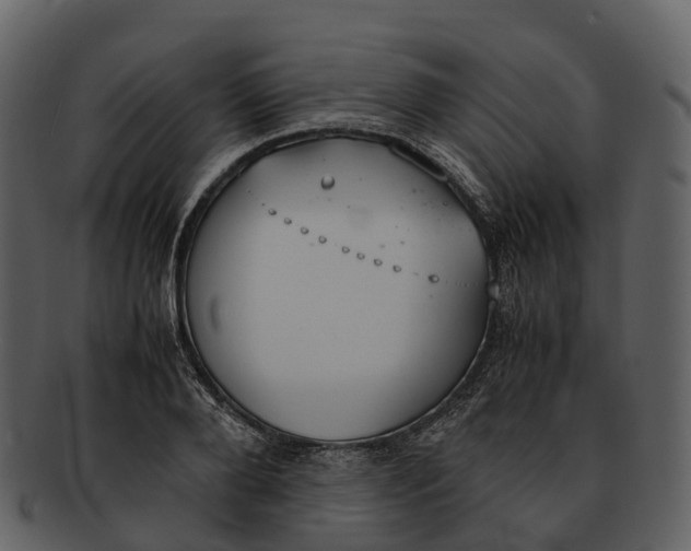 X0000092330888200710051313