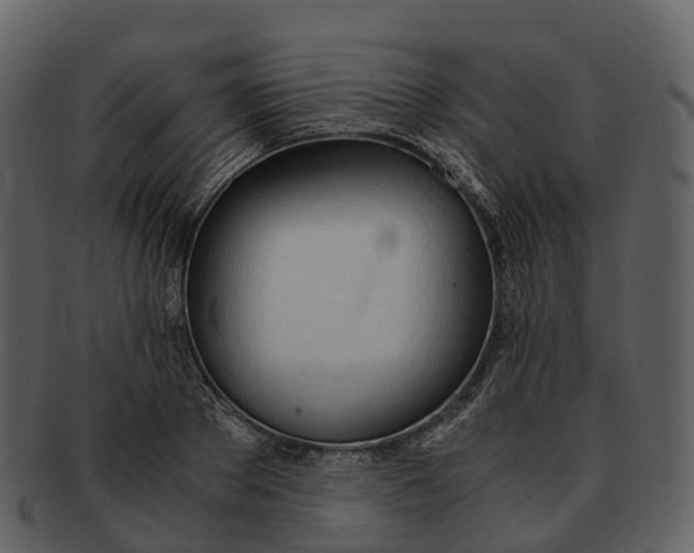 X0000092330889200710051313