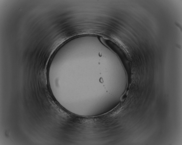 X0000092330892200710051313