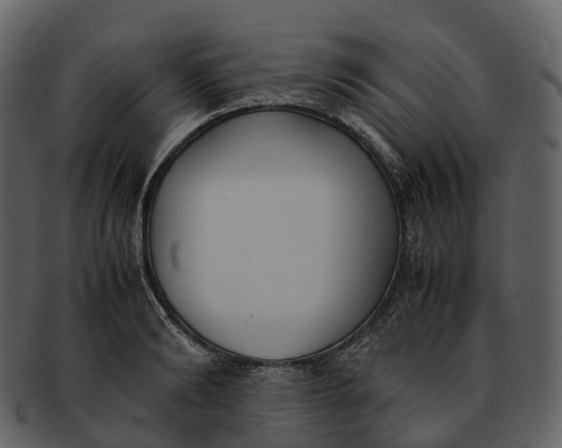 X0000092330894200710051313