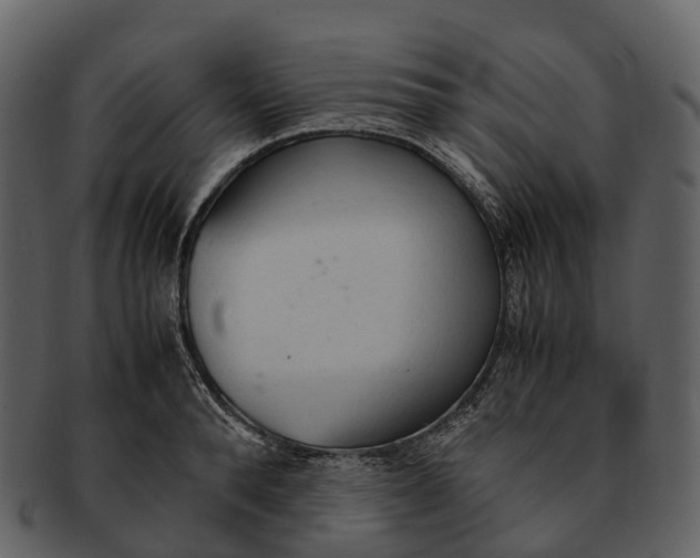 X0000092330896200710051313