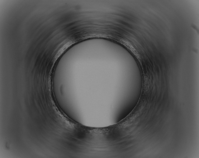 X0000092330898200710051312