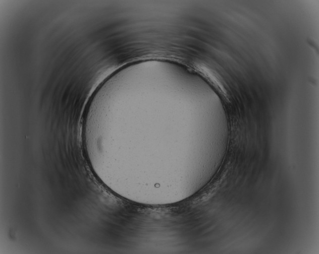 X0000092330900200710051312