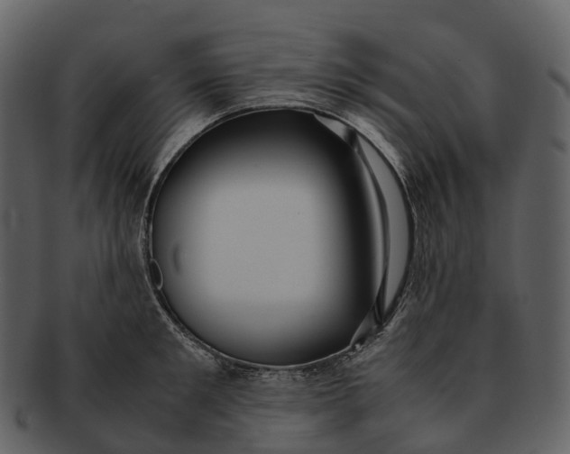 X0000092330901200710051312