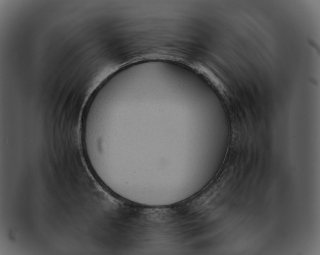 X0000092330902200710051312