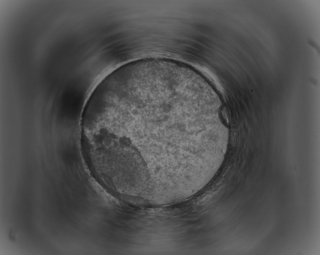 X0000092330903200710051312