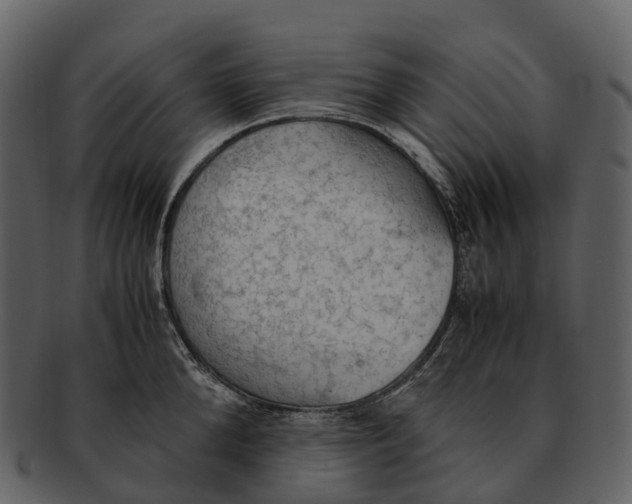 X0000092330904200710051312