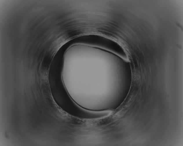 X0000092330905200710051312
