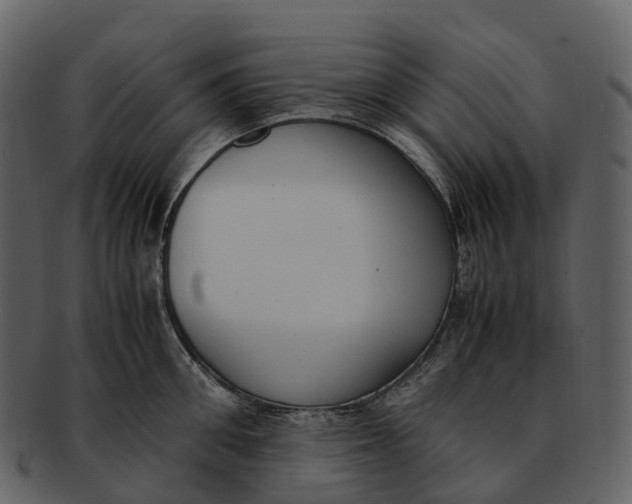 X0000092330906200710051312