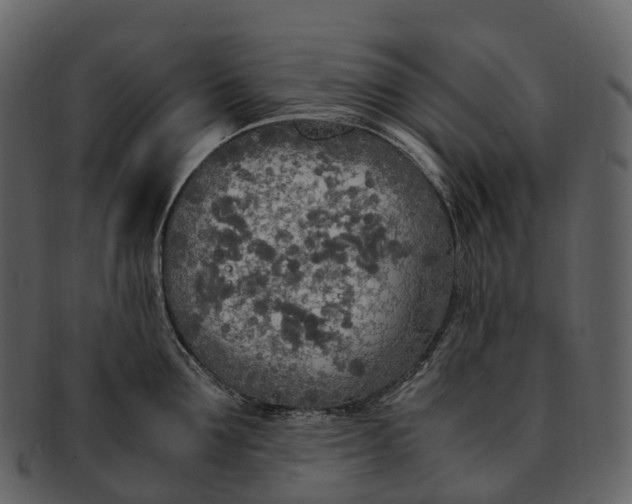 X0000092330907200710051312