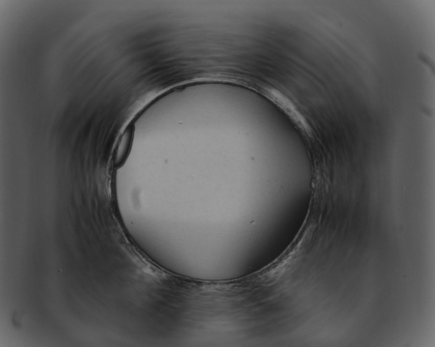 X0000092330908200710051312