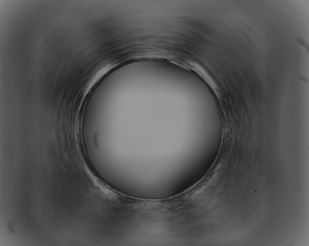 X0000092330909200710051312